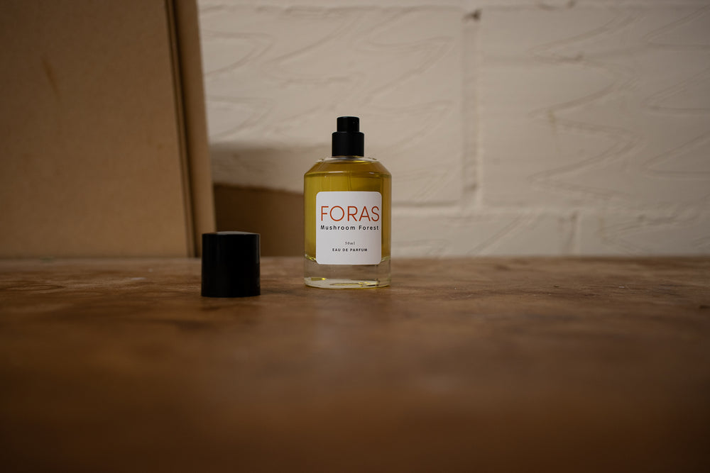 The Magical World of Mushrooms