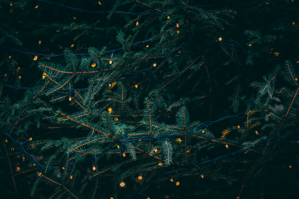 Christmas is Coming and We’re Here to Help!