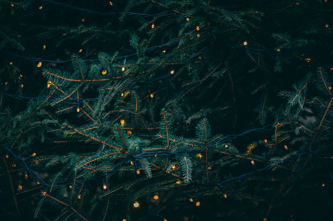 Christmas is Coming and We’re Here to Help!