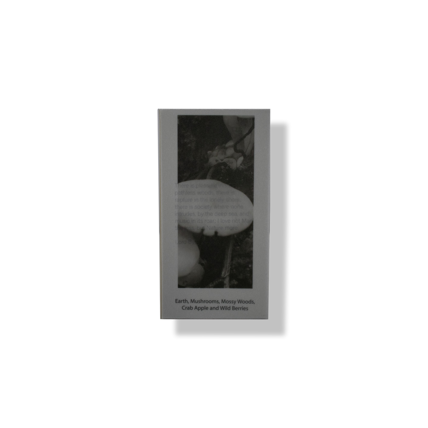 Mushroom Forest 50ml