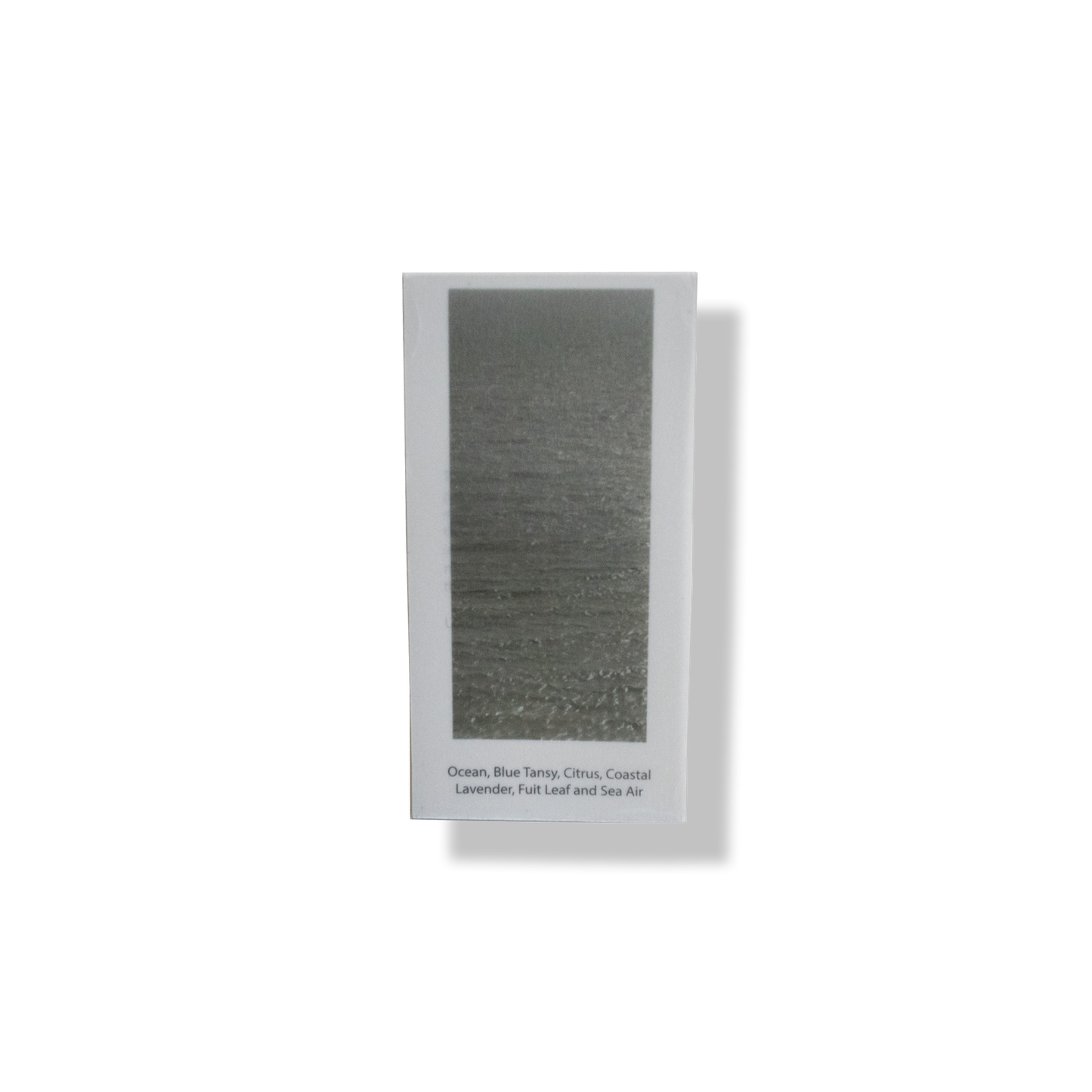 Ocean Tansy 50ml